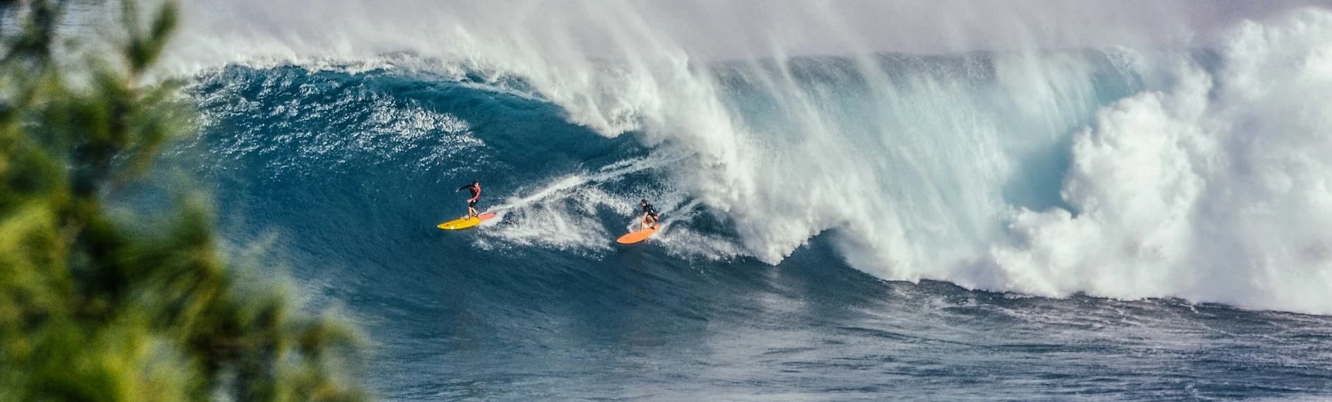 surfer vague